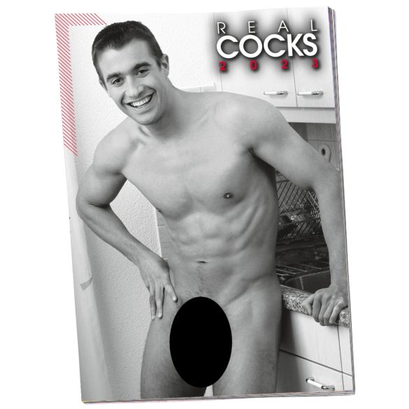 Calendario Hombres Desnudos - 2026 (10 unidades)