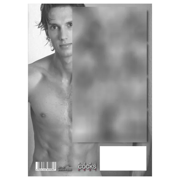 Real Cocks 2027 - calendario erótico de pared (1 ud)