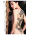 Chicas tatuadas 2027 - calendario de pared erótico (1 ud)
