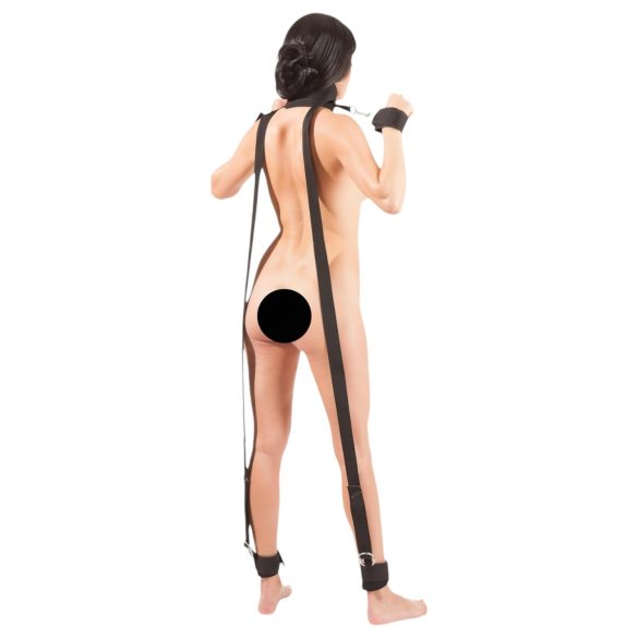 Bad Kitty - set de restricción completo