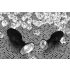 You2Toys - Diamante - plug anal de silicona (pequeño)
