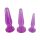 You2Toys - Set de Plugs Entrenamiento Anal - 3 Piezas (Violeta)