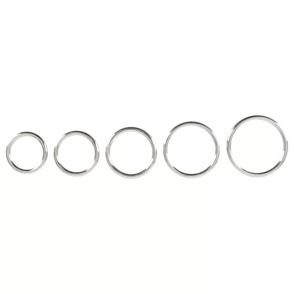Bad Kitty - set de anillos para pene de metal - 5 piezas