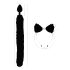 Bad Kitty - Set de plugs anales gatito - (negro)