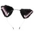 Bad Kitty - Set de plugs anales gatito - (negro)