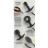 You2Toys - plug anal inflable con bolas (negro)