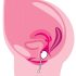 Huevito Vibrador Violeta RC You2Toys - Control Remoto Incluido