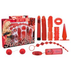 You2Toys - Kit erótico con vibrador y accesorios - 9 piezas