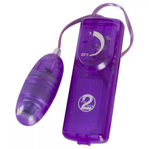You2Toys - Kit vibrador 9 piezas - silicona morado