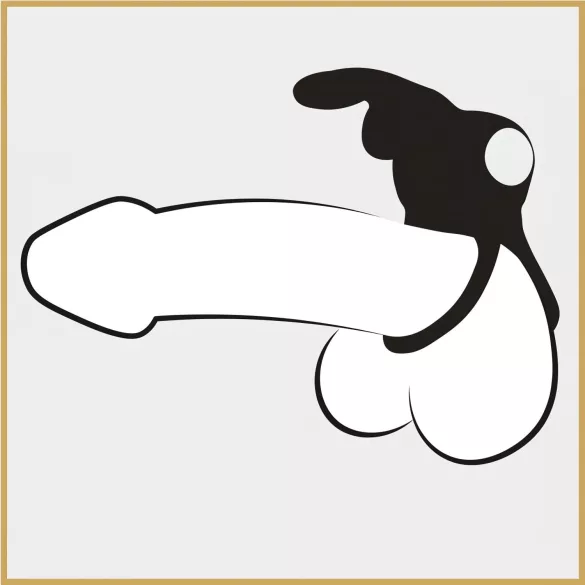 Happyrabbit - anillo para pene y testículos recargable e impermeable