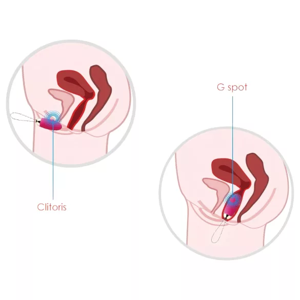 Svakom Elva - huevo vibrador recargable con control remoto - rojo