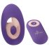 Sonrisa Panty - vibrador recargable y remoto (lila)