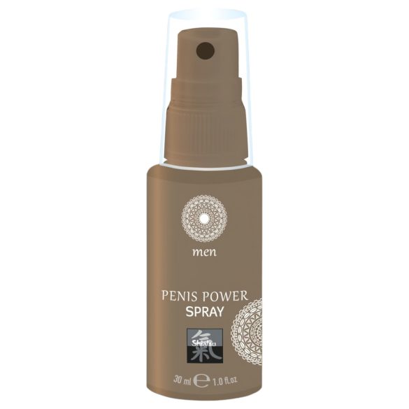 HOT Shiatsu - spray estimulante íntimo para hombres - 30ml