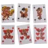 Kama Sutra - juego de cartas eróticas - pack de 24 unidades