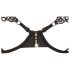 Cottelli - set de sujetador bordado brillante (negro) - L