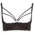 Cottelli Plus Size - sujetador realzador con tirantes y aro - negro - 85E