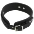 Bad Kitty - collar y correa de silicona - negro