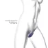 Wonderlover - Vibrador punto G y clítoris (morado oscuro)