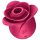 Satisfyer Pro 2 Rosa Moderno - Estimulador de clítoris aéreos (rojo)
