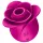 Satisfyer Pro 2 Modern Blossom - estimulador de clítoris por ondas de aire (rosa)