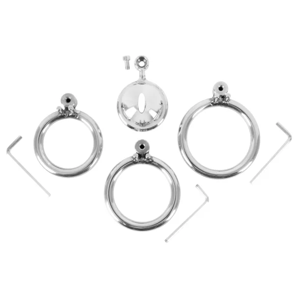Colección Fetish - mini jaula para pene con 3 anillos intercambiables para testículos (plata)