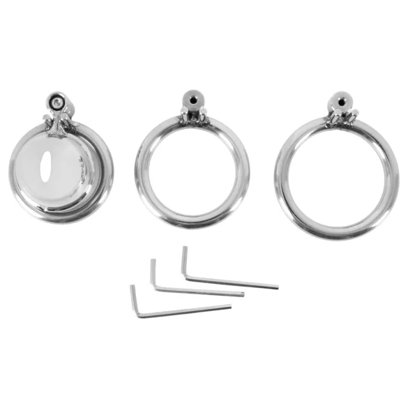 Colección Fetish - mini jaula para pene con 3 anillos intercambiables para testículos (plata)