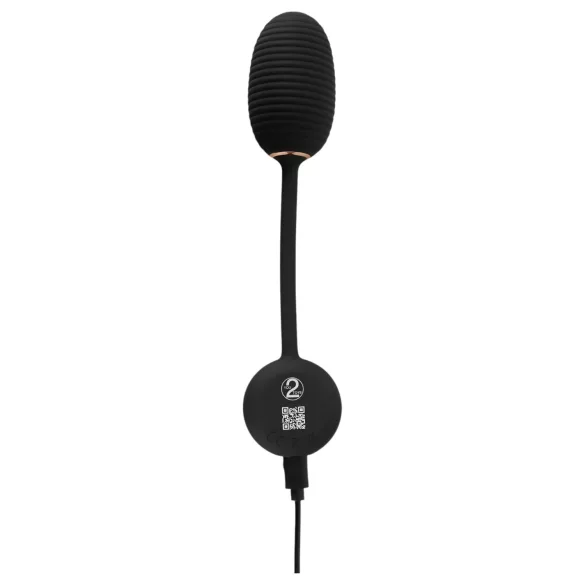 You2Toys - huevo vibrador remoto - silicona negra
