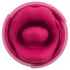 You2Toys Oral Fun - vibrador estimulador de clítoris con lengua (rosa)