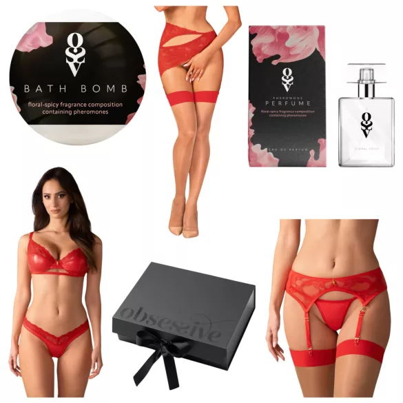 Obsessive Aloisa - set de lencería regalo - 6 piezas - rojo - L/XL