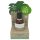 Aceite Bio Post-Depilación y Afeitado de Coco (50ml)