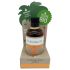 Aceite Bio Bronceador de Coco (80ml)