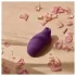 Cristalino - tapón anal grande - transparente