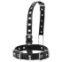 Latetobed - collar con gancho nasal - cuero negro