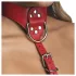Arnés corporal con cuello (rojo) - M/L
