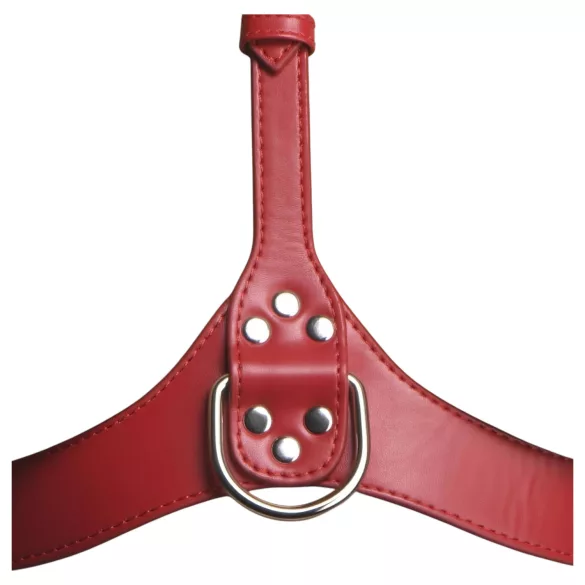 Arnés corporal con cuello (rojo) - M/L