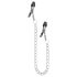 EasyToys - Pinzas para pezones con cadena (1 par)