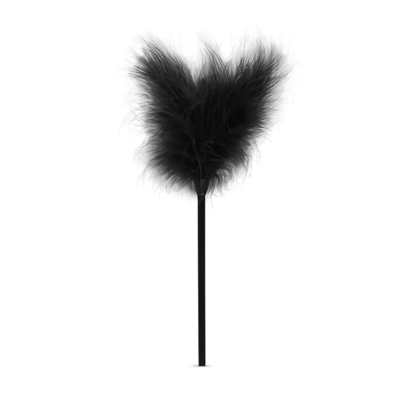 Secret Pleasure Chest - kit BDSM avanzado - 14 piezas - negro