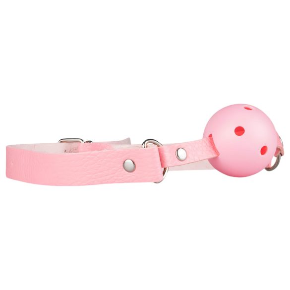 Secret Pleasure Chest - kit BDSM avanzado 14 piezas (rosa)