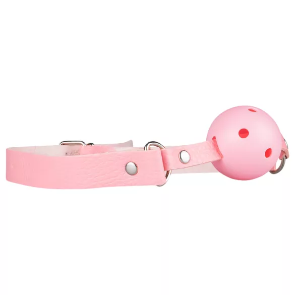 Cofre de Placer Secreto - kit BDSM avanzado de 14 piezas (rosa)