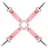 Cofre de Placer Secreto - kit BDSM avanzado de 14 piezas (rosa)