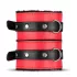 Secret Pleasure Chest - set BDSM avanzado - 10 piezas - rojo