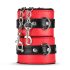 Baúl del Placer Secreto - Kit BDSM Avanzado de 10 Piezas (Rojo)