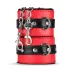 Secret Pleasure Chest - set BDSM avanzado - 10 piezas - rojo