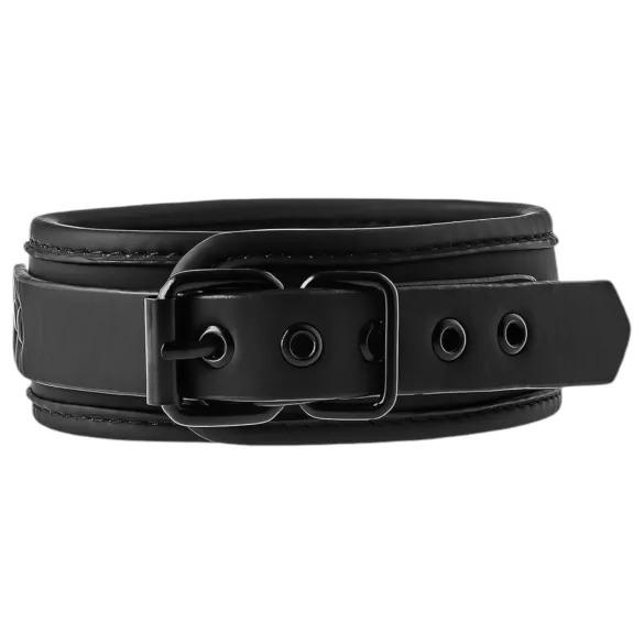 Blaze - collar y correa - cuero negro