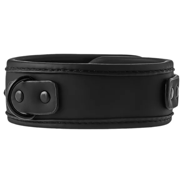 Blaze - collar y correa - cuero negro