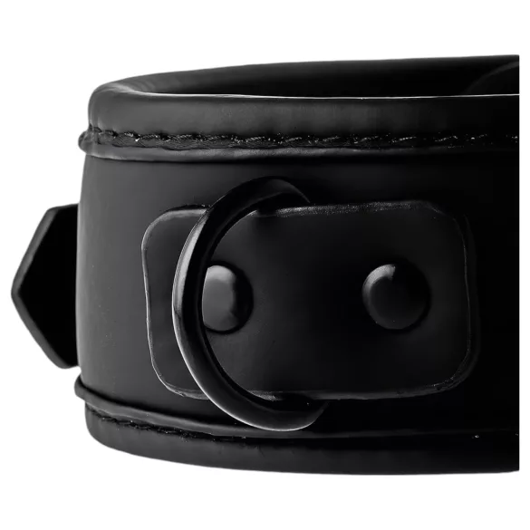 Blaze - collar y correa - cuero negro