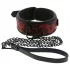 Dreamtoys Blaze - collar y correa (rojo)