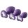 Kit de entrenamiento anal Flirts - set de plugs (3 uds) - morado
