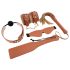 Blaze Elite - Set BDSM 5 piezas (cognac)