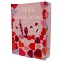 Dreamtoys Amour - set de regalo de entrenamiento anal (rojo)